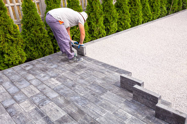 Best Driveway Repair Near Me  in Black Creek, WI